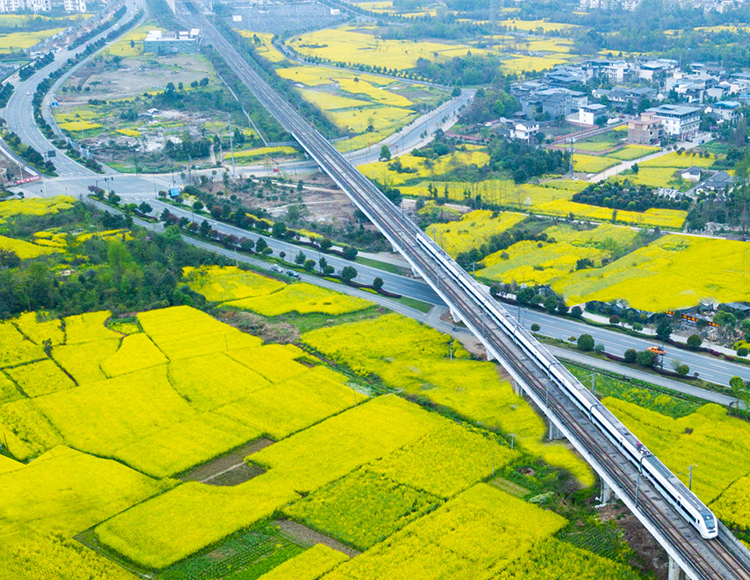 Dujiangyan Investment Development 스포츠 토토 Co., Ltd.