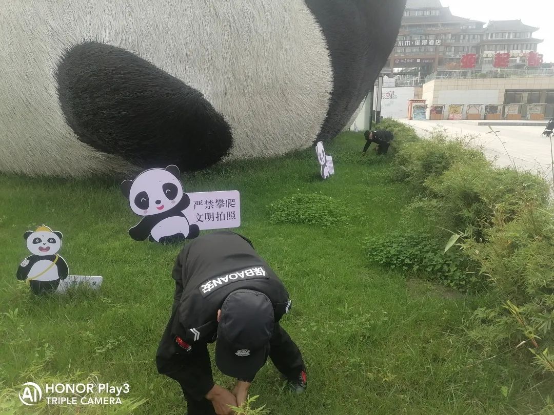 메이저 토토 사이트